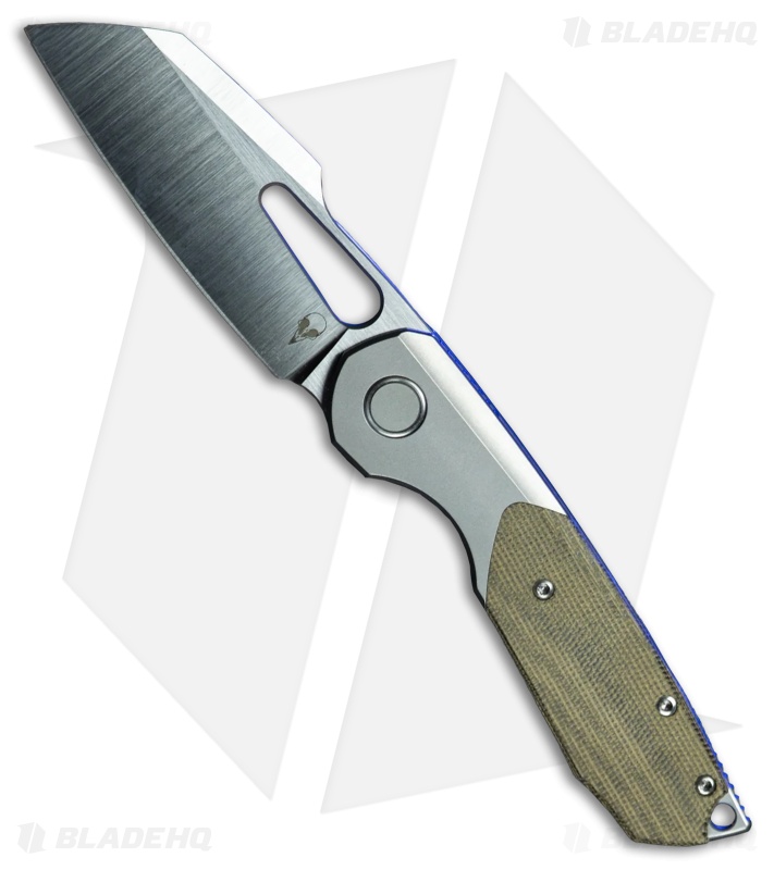 ビカクシダ sparrow 受注発注リスト】P.willinckii cv.sparrow X【artPLANTs/PLANTS GARAGE