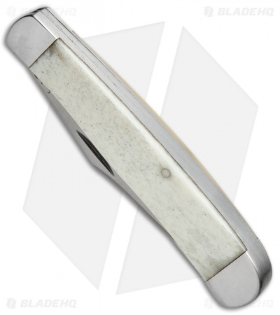 Bear and Son Trapper Pocket Knife 2.875" White Bone WSB54 