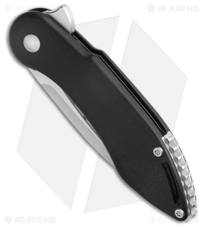 Begg Knives Mini Glimpse Knife Black G-10 (3" Satin D2)