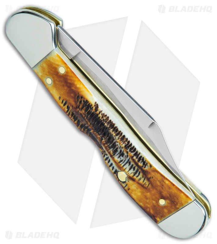 Case Knives Mini CopperLock Knife 3.6" Amber 6.5 BoneStag (6.51749L SS) 65327