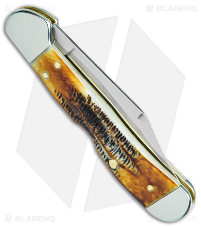 Case Knives Mini CopperLock Knife 3.6" Amber 6.5 BoneStag (6.51749L SS) 65327