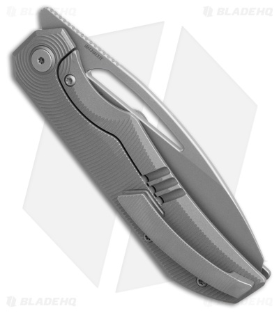 Bestech Knives TAIPAN Frame Lock Knife Dark Gray SW Titanium (3.7" Dark Gray SW)