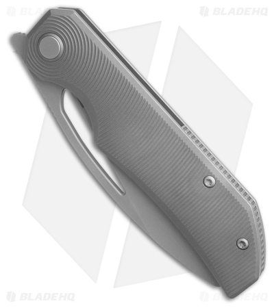 Bestech Knives TAIPAN Frame Lock Knife Dark Gray SW Titanium (3.7" Dark Gray SW)