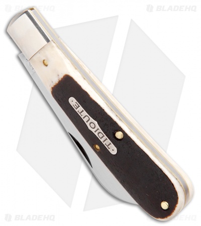 GEC #93 Tidioute Cutlery Ram's Foot Pocket Knife 3.8" Oily Creek Bone 933119