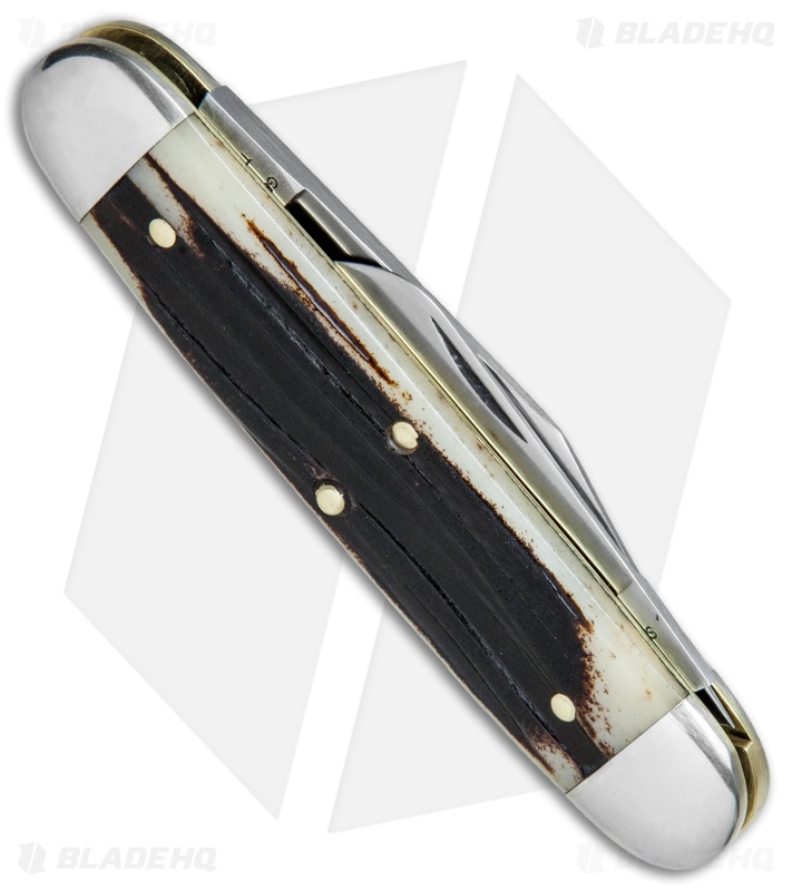 GEC #35 Tidioute Cutlery Churchill Pocket Knife 3.75" Cougar Clawed Bone 351217