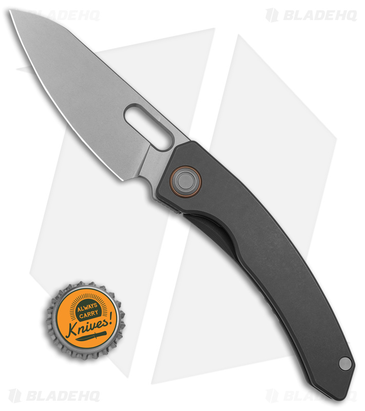 Maxace Black Mirror Frame Lock Knife SW Titanium - Blade HQ