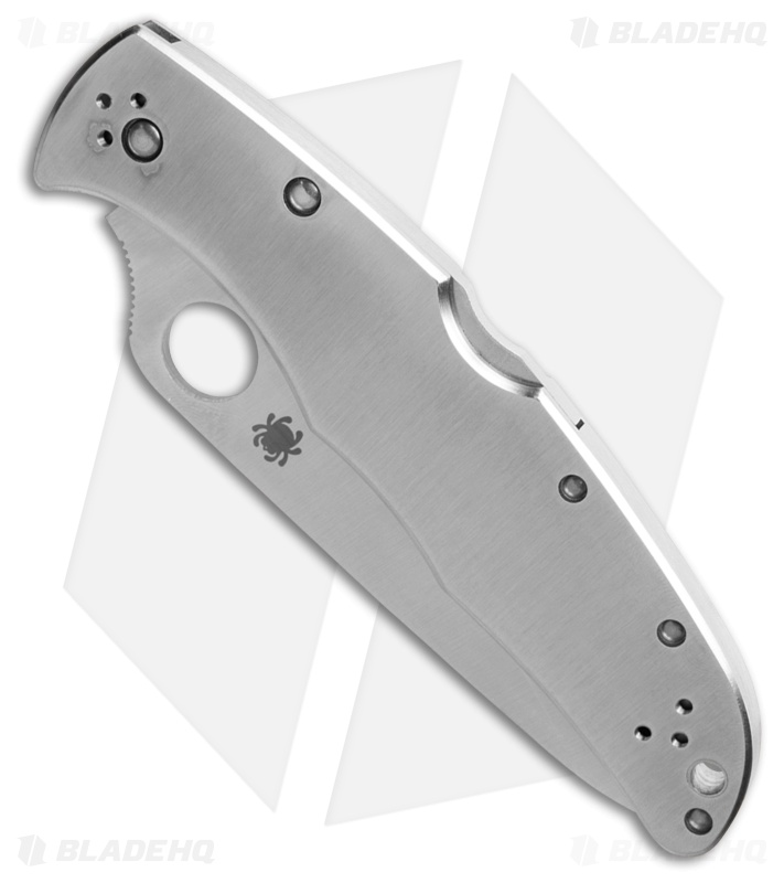 Spyderco Endura 4 Knife Stainless Steel SS (3.875
