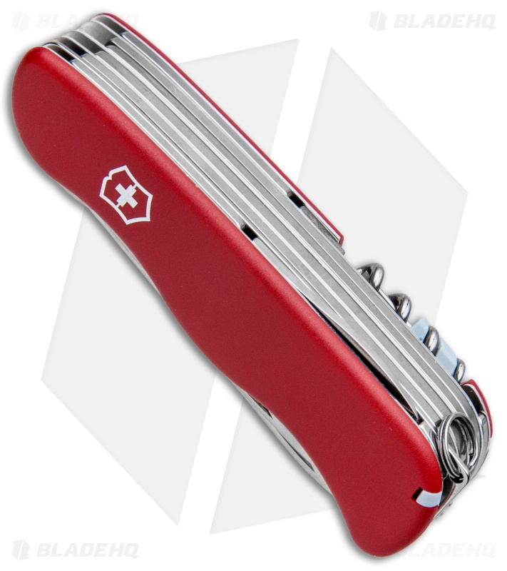 swiss army workchamp