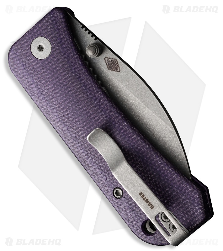 WE Knife Co. Banter Wharncliffe Liner Lock Knife Purple Micarta (2.9" SW)