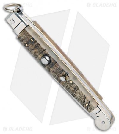 AGA Campolin 9" Sicilian Ring Pull Automatic Ram Horn (4.1" Satin Bayo)