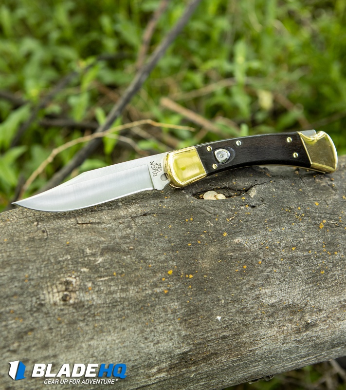 Buck 110 Folding Hunter – Bernal Cutlery