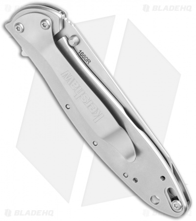 Kershaw Random Leek Reverse Tanto Assisted Opening Knife (3" Bead Blast) 1660R