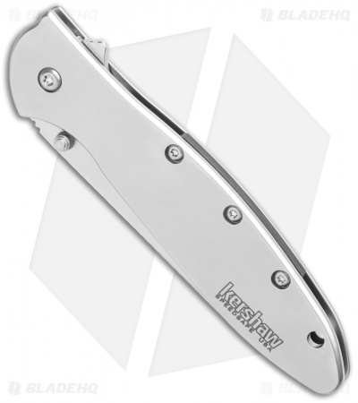 Kershaw Random Leek Reverse Tanto Assisted Opening Knife (3" Bead Blast) 1660R
