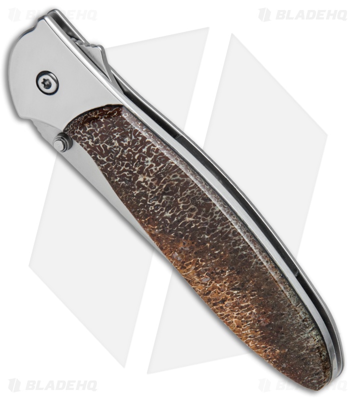 Santa Fe Stoneworks Customized Kershaw Leek A/O Knife Mammoth (3" Bead Blast)
