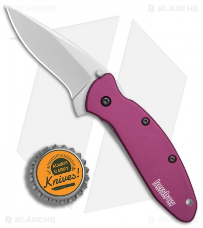 Kershaw Scallion Assisted Opening Knife Purple (2.25" Bead Blast) 1620PUR