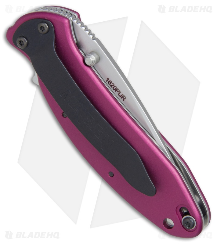 Kershaw Scallion Assisted Opening Knife Purple (2.25" Bead Blast) 1620PUR
