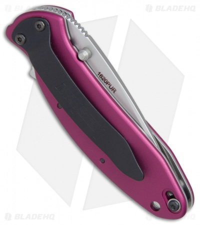 Kershaw Scallion Assisted Opening Knife Purple (2.25" Bead Blast) 1620PUR