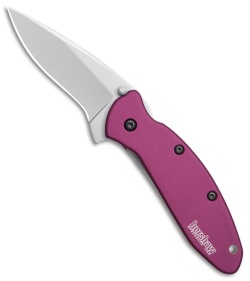 Kershaw Scallion Assisted Opening Knife Purple (2.25" Bead Blast) 1620PUR