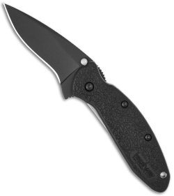 Kershaw Scallion Assisted Opening Knife Black GFN (2.25" Black) 1620BLK