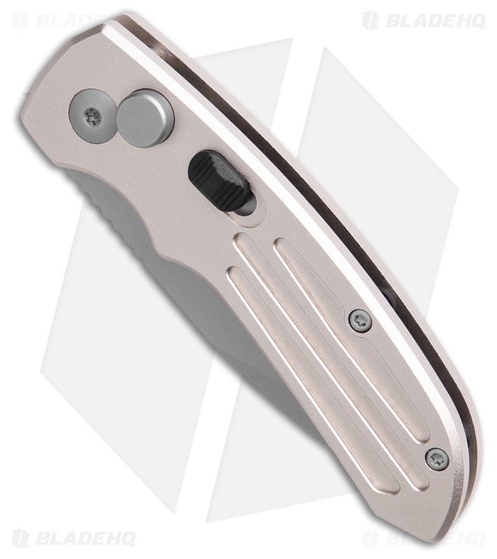 Smith & Wesson Mini Extreme Ops Automatic Knife Gray (2.5" Bead Blast) SW40