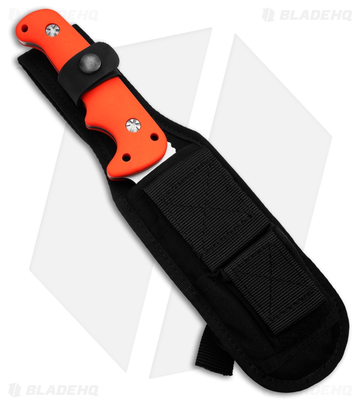 Maserin Colt Outback Fixed Blade Orange G-10 - Blade HQ