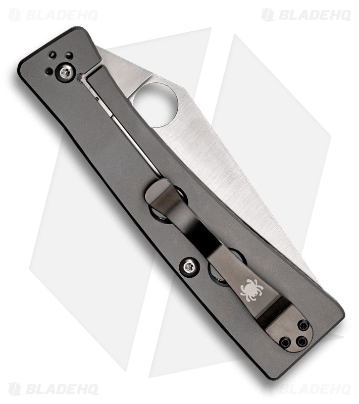 Spyderco Chokwe Framelock Folding Knife (PLN) C132GP