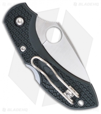 Spyderco Dragonfly 2 Green FRN Knife (2.25" ZDP-189 Satin) C28PGRE2