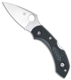 Spyderco Dragonfly 2 Green FRN Knife (2.25" ZDP-189 Satin) C28PGRE2