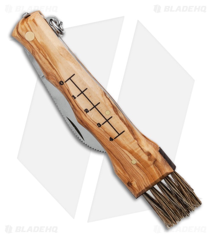 Mercury Mico 1 Mushroom Slip Joint Knife Olive Wood (2.75" Satin) 9M1UP