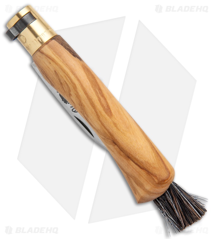 Antonini Old Bear Mushroom Knife Medium Olive Wood (3.2" Satin)