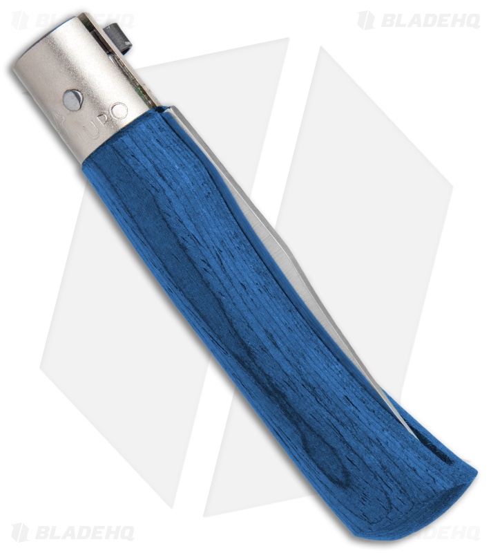 Antonini Old Bear Classical Small Folding Knife Blue Wood (2.9" Satin)
