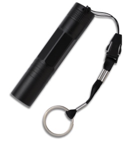 Explorer Black LED Keychain Flashlight