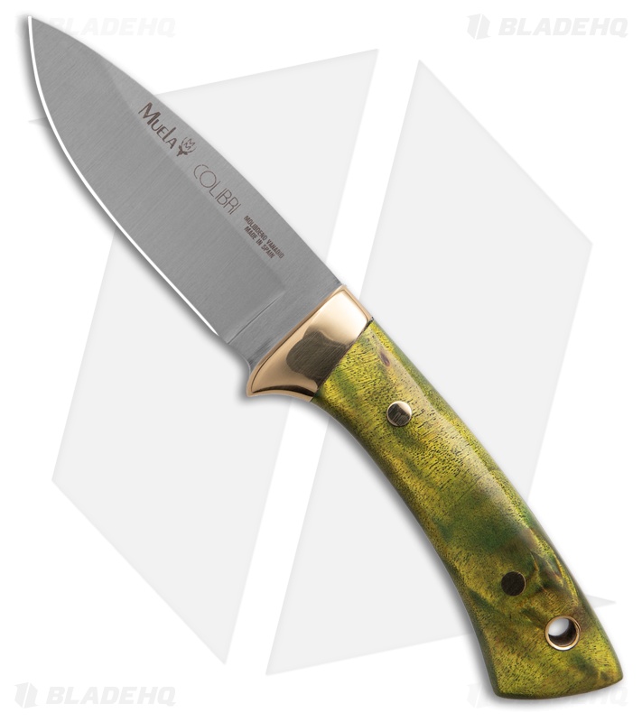 Muela Colibri COL-7.TO Green Maple Wood (2.75" Satin)