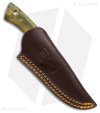 Muela Colibri COL-7.TO Green Maple Wood (2.75" Satin)