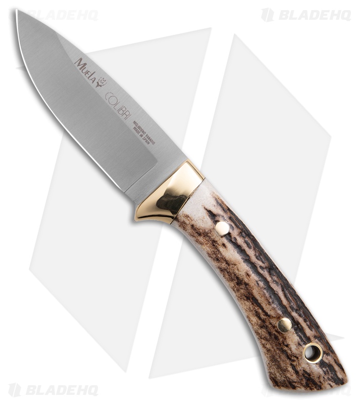 Muela Colibri Fixed Blade Knife Stag  (2.75" Satin)