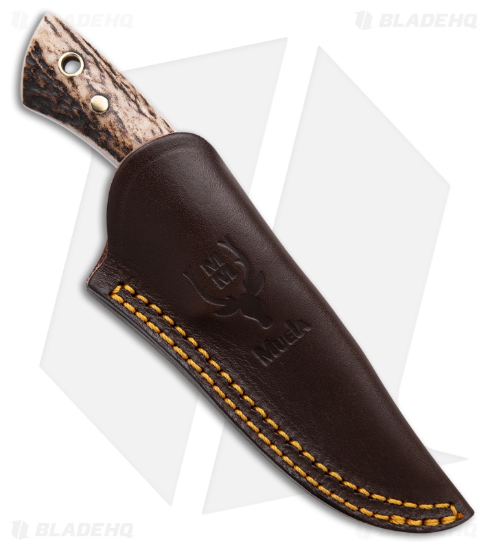 Muela Colibri Fixed Blade Knife Stag  (2.75" Satin)