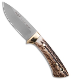 Muela Colibri Fixed Blade Knife Stag  (2.75" Satin)