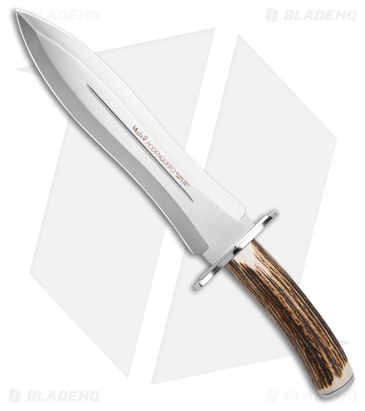 Muela Podenquero Fixed Blade Knife Stag (10.5" Satin)