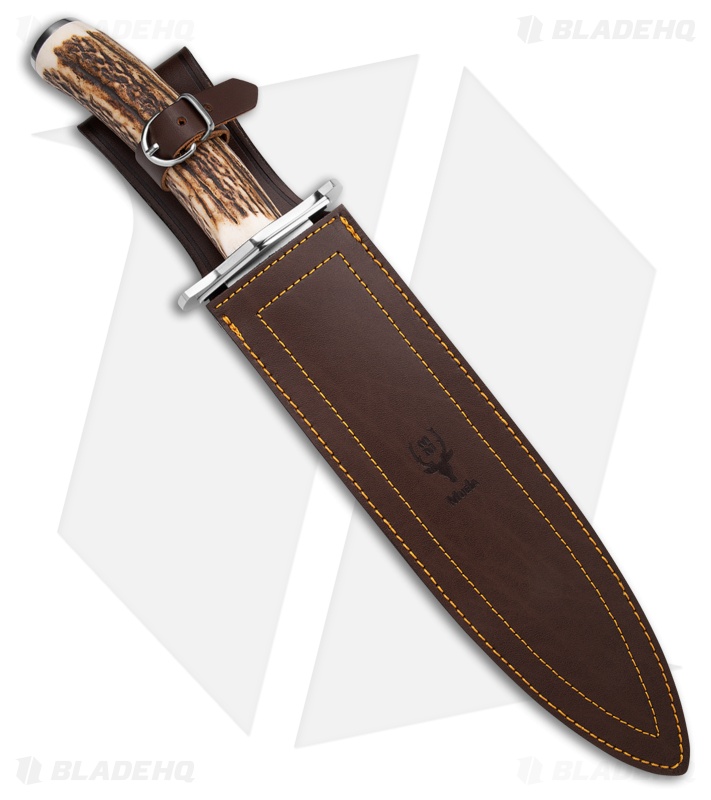 Muela Podenquero Fixed Blade Knife Stag (10.5" Satin)
