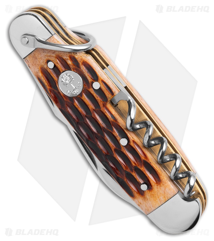 Boker Tree Brand Camp Knife Amber Jigged Bone (3.25" Satin) 110906