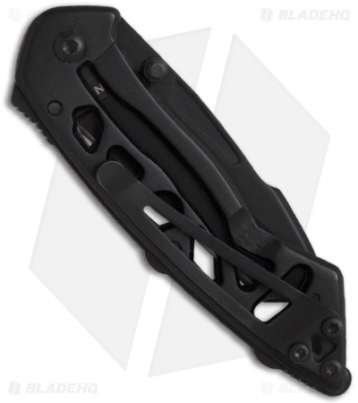 Buck Mini Bones Frame Lock Knife (2.1" Black) 0869BKS-B