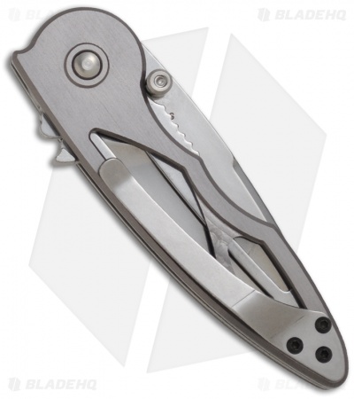 Buck Rush Knife Assisted Opening Platinum (2.5" Satin) 0290PLS-B