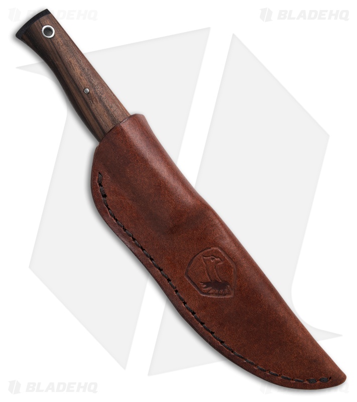 Condor Narrowsaur Fixed Blade Knife | Walnut + SW