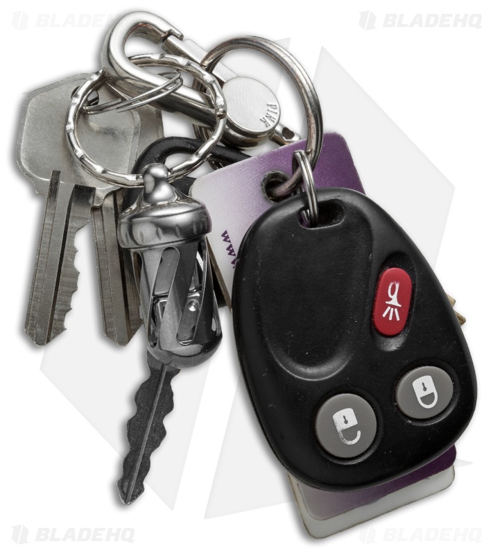 LionSteel Acorn Dice Keychain (Steel) DDIN