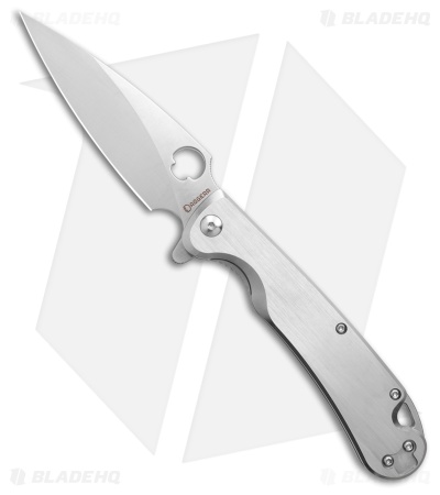Daggerr Knives Sting Liner Lock Knife Stainless Steel (3.9" Satin VG10)