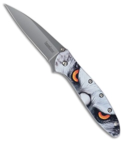 Kershaw Leek Assisted Opening Knife Hawk (3" Bead Blast) KS1660HAWK