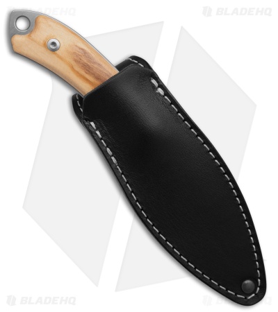 MKM Pocket Tango 4 Fixed Blade Knife Olive Wood (2.91" Satin Elmax)