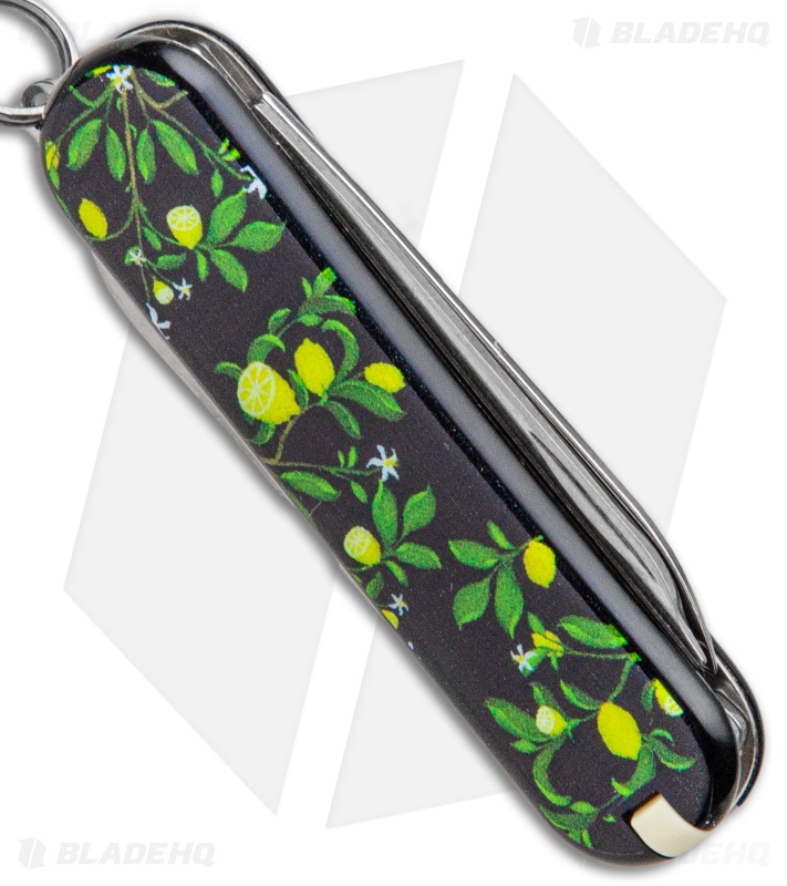 Victorinox | Classic SD Swiss Army Knife | Life Gives You Lemons