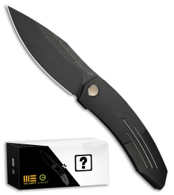 WE Knife Co. Sine Wave Mystery Box | Black Titanium (3.98" Black SW)