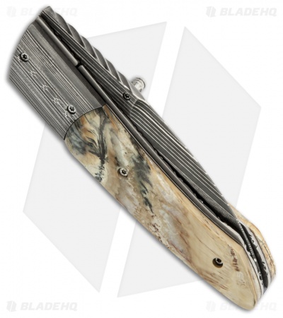 Corrie Schoeman X Tend Folder Knife Mammoth Molar Tooth (3" Damascus)